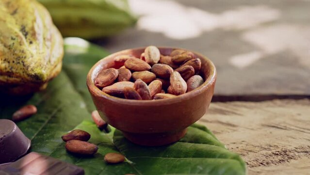 Deep clay dish, with dried cocoa seeds.