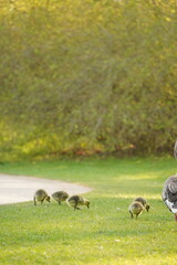 A picture clicked in Denmark