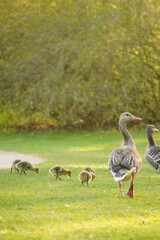 A picture clicked in Denmark