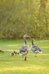 A picture clicked in Denmark