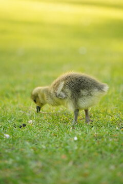 A picture clicked in Denmark
