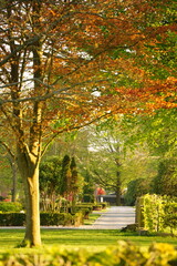 A picture clicked in Denmark