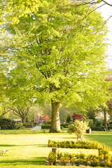 A picture clicked in Denmark