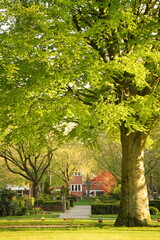 A picture clicked in Denmark