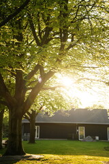 A picture clicked in Denmark
