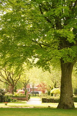 A picture clicked in Denmark
