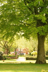 A picture clicked in Denmark
