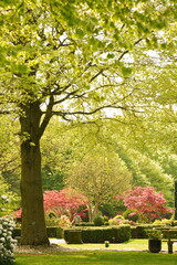 A picture clicked in Denmark
