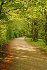 A picture clicked in Denmark
