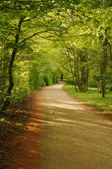 A picture clicked in Denmark
