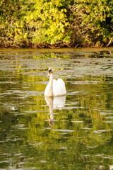 A picture clicked in Denmark
