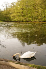 A picture clicked in Denmark
