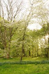 A picture clicked in Denmark