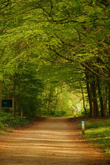 A picture clicked in Denmark
