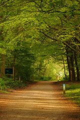 A picture clicked in Denmark