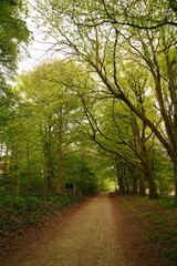 A picture clicked in Denmark