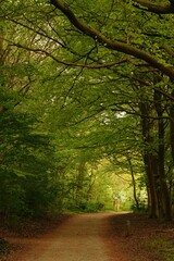 A picture clicked in Denmark