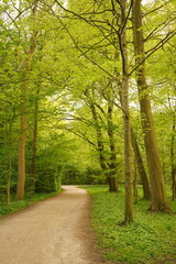 A picture clicked in Denmark