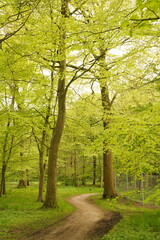 A picture clicked in Denmark