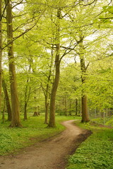 A picture clicked in Denmark