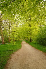 A picture clicked in Denmark