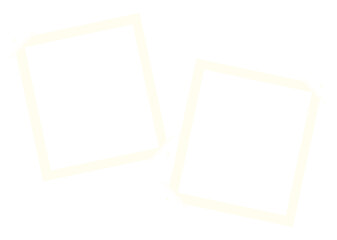 white polaroid photo vector