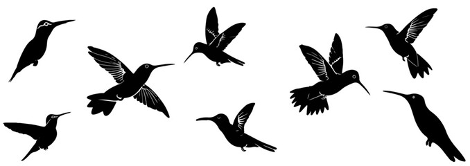 A collection of various hummingbird silhouette.  Vector tropical bird hummingbird silhouette.  Minimalist vector, hummingbird illustration.