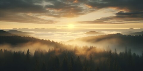 Obraz premium fir forest in vintage retro style with Misty landscape, Misty landscape with fir forest, minimalism style background