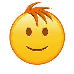 Slightly smiling face Large size of yellow emoji smile with hair