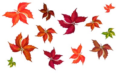 Set of hand drawn watercolor autumn leaves. Watercolor texture of brown, ocher, red, orange on a white background