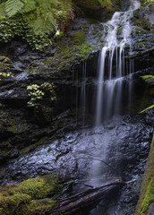 waterfall in the forest