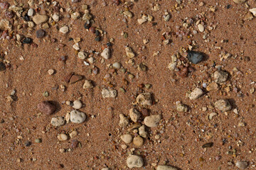 The coastline of the Red Sea. Sand, pebbles, corals, fossils. Background with a marine theme.