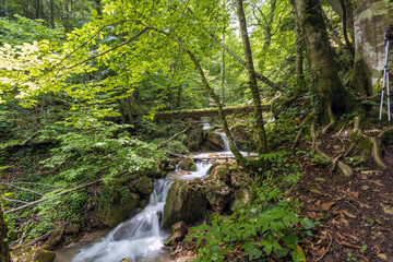 Fototapeta premium Mountain stream in a green forest in spring, long exposure.