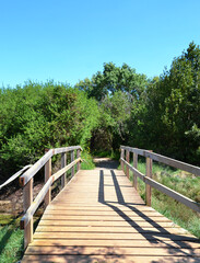 photography of bridge in a landscape
