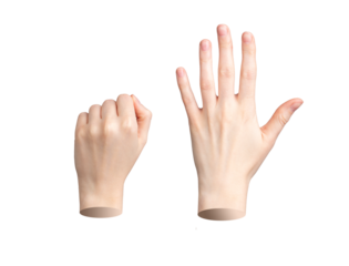 Hand gestures, clenched fist and open palm. Closed and spread fingers, realistic human anatomy. Dorsal views. Different positions expressing. Isolated on white background., transparent PNG cutout