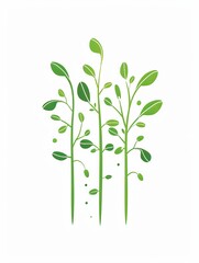 Fototapeta premium A close-up image showcasing fresh green microgreens against a white background. Generative AI