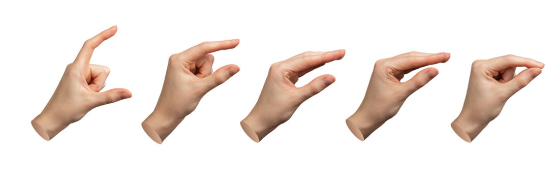 Hand gestures showing size from big to small. Pinch, catch, hold, isolated on white. Arm grabbing, comparing, seizing, set, transparent PNG cutout