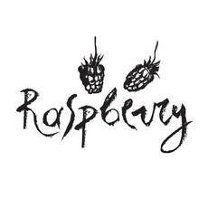 Raspberry symbol, raspberries illustration. Vector monochrome drawing of raspberries or blackberries drawn. Red berry icon for confectionery packaging. Blackberry sketch. Mulberry sign.