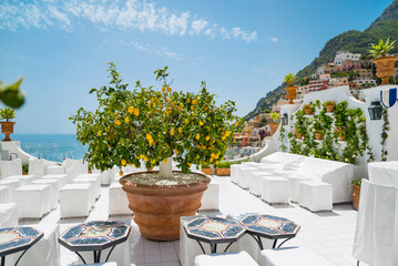 Lemon tree with yellow lemons in Positano ,Italy 
