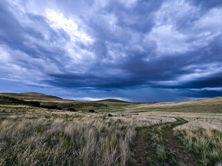 Andean meadow with the presence of approaching storm clouds.