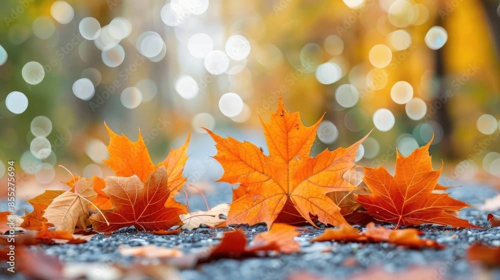 Poster orange maple leaves on the ground with a bokeh effect defocused background