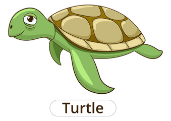 Turtle underwater animal cartoon PNG illustration for children