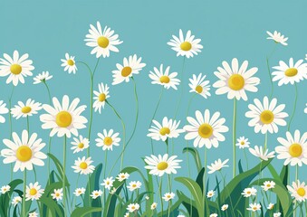 Bright Field of Daisies Against a Clear Blue Sky