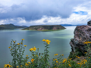 Naklejka premium Island with an attractive plateau in the middle of a lake next to vegetation with a sunny climate.