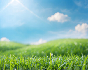 Fototapeta premium World Environment Day concept green grass and blue sky abstract background with bokeh design