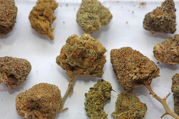 Cannabis various buds super private collection medical marihuana grass mania macro background high quality focus stack fifty megapixels instant printings