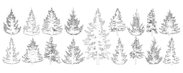 Set of fir trees for architecture and landscape design, line drawing, contour. Vector illustration © nosyrevy