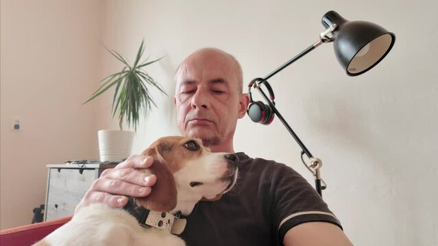 The master strokes his dog. Beagle dog and his master sit in a chair in the living room. The concept of canine friendship and devotion