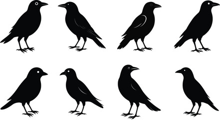 set of silhouettes of birds