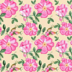 Dog rose Floral Watercolor seamless pattern on beige background. Hand drawn botanical illustration. Rose hip flowers, buds, branches and berries. Can be used for fabric, textile, packaging prints